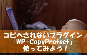 コピペされないプラグイン「WP Copy Protect」を使ってみよう！～コピペと引用のルールは？