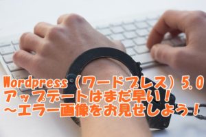 WordPress（ワードプレス）5.0アップデートはまだ早い！～エラー画像をお見せしよう！