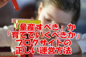 記事は「量産すべき」か「育てていくべきか」ブログサイトの正しい運営方法を考えてみた