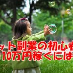 ネット副業の初心者が月10万円稼ぐには?ココナラPRO認定のわたしがマジで考えてみた!